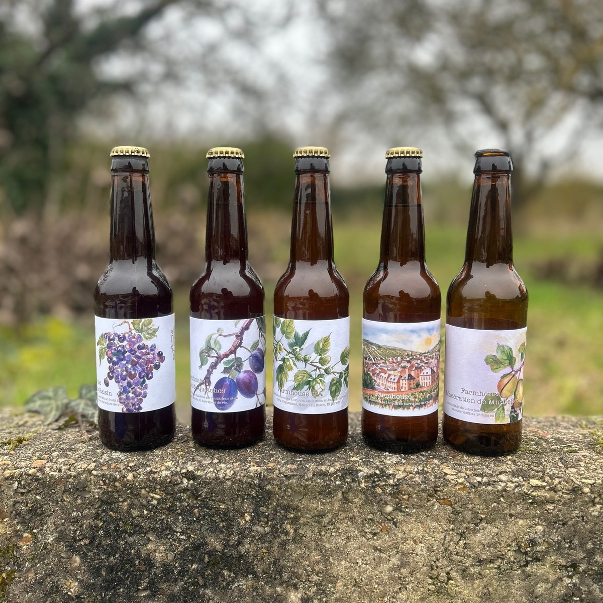 Farmhouse 18 Mois